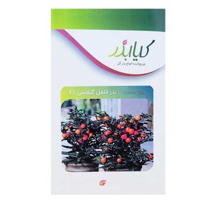 بذر فلفل گیلاسی f1 کیا بذر کد 031